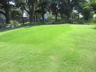 ベーリック・ホール 庭園の芝刈り