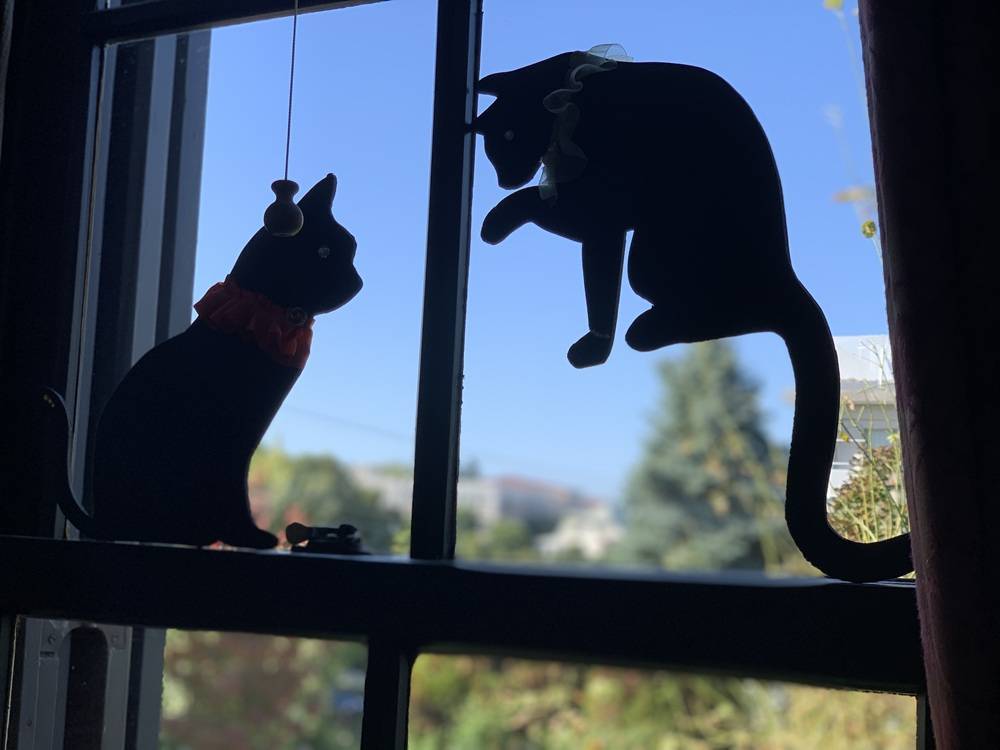 外交官の家 ハロウィン装飾2025の写真
