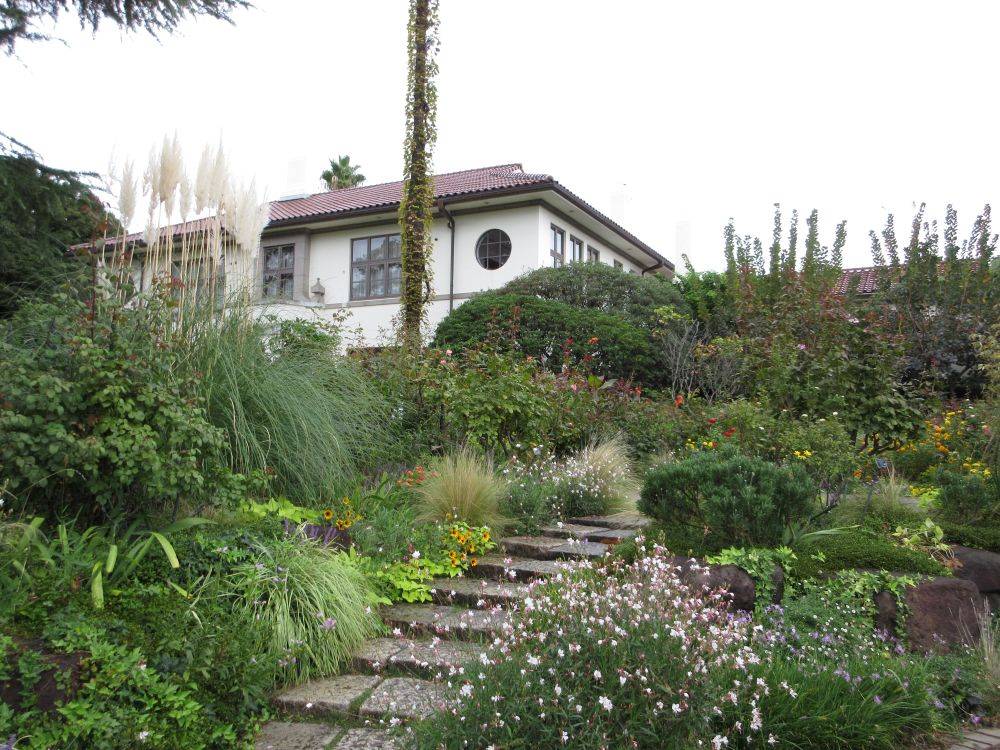 横浜市イギリス館と港の見える丘公園の秋の花々の写真