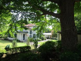 ブラフ18番館　初秋の庭