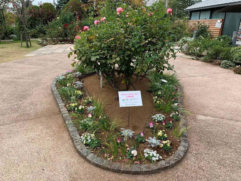 外交官の家　GREEN×EXPO2027　応援花壇の写真