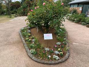 外交官の家　GREEN×EXPO2027　応援花壇