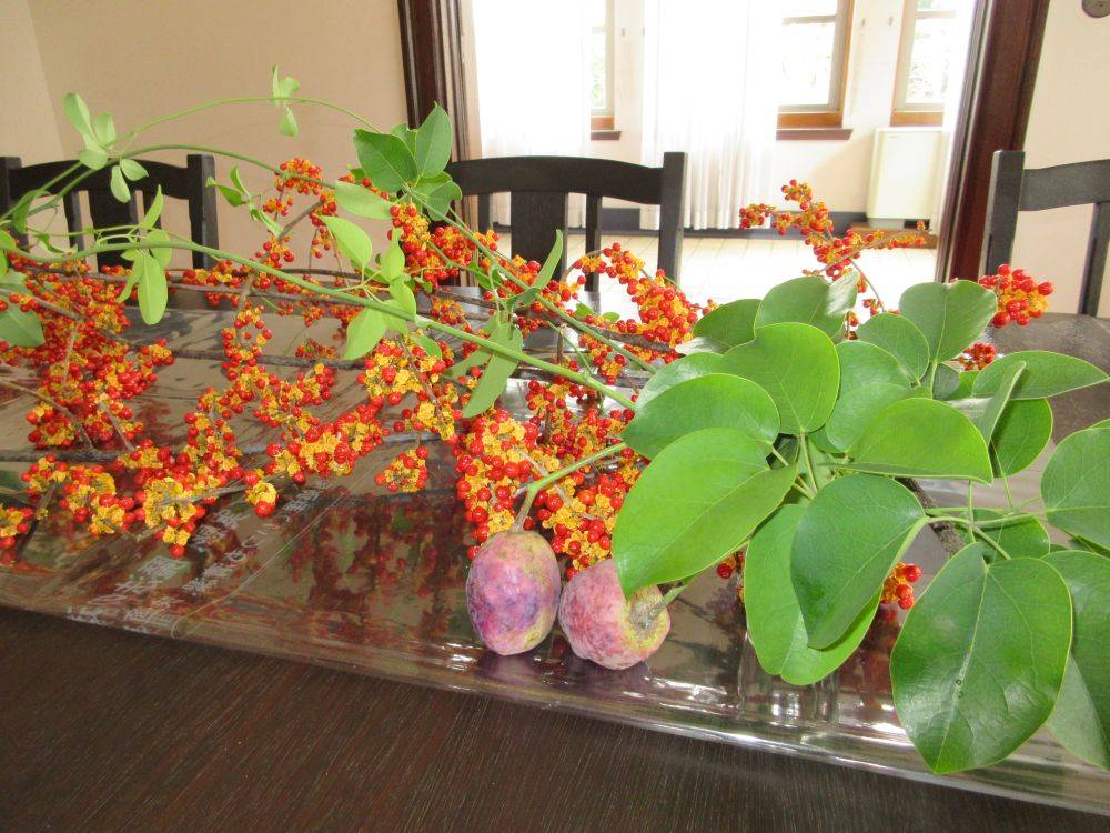 横浜市イギリス館　秋の花を飾っていますの写真