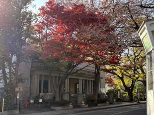 山手234番館　紅葉