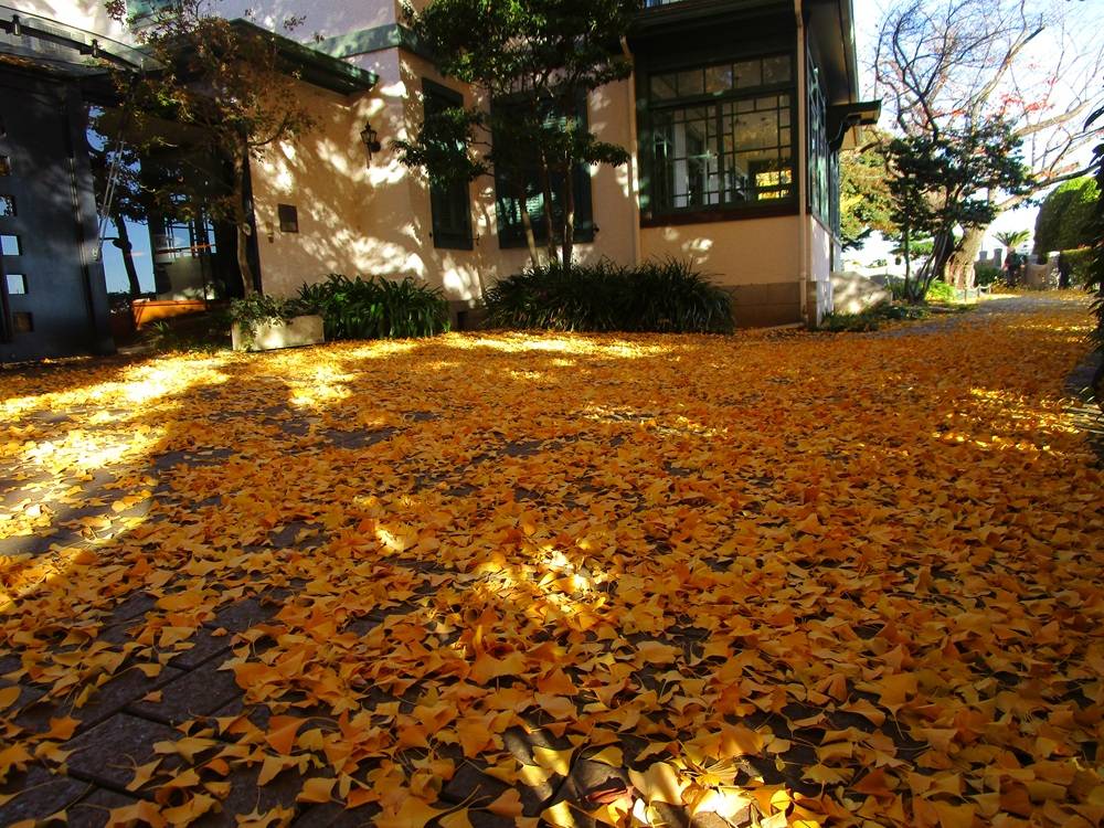 ブラフ18番館　12月の庭の写真