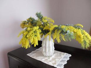 横浜市イギリス館　早春のお花