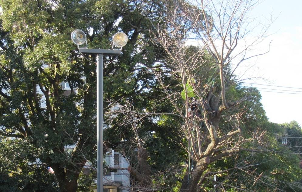 ベーリック・ホール　冬の庭仕事の写真