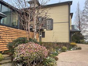 外交官の家　ジンチョウゲとクリスマスローズ