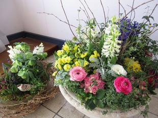 横浜市イギリス館　春の花を飾っています