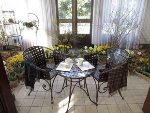 横浜市イギリス館　桃の節句装飾