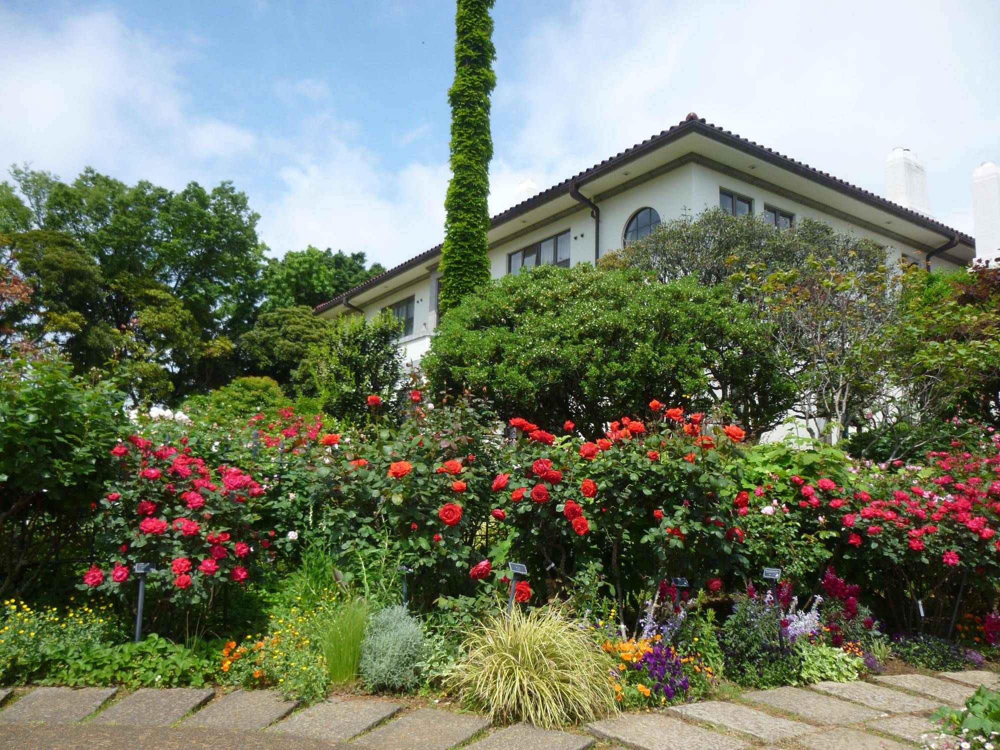 山手通信160号を発行しました。の写真