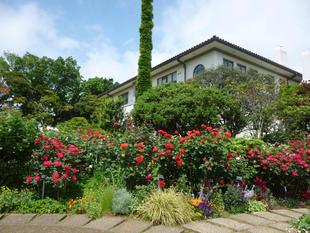 山手通信160号を発行しました。