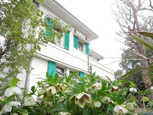 エリスマン邸　可憐なクリスマスローズ