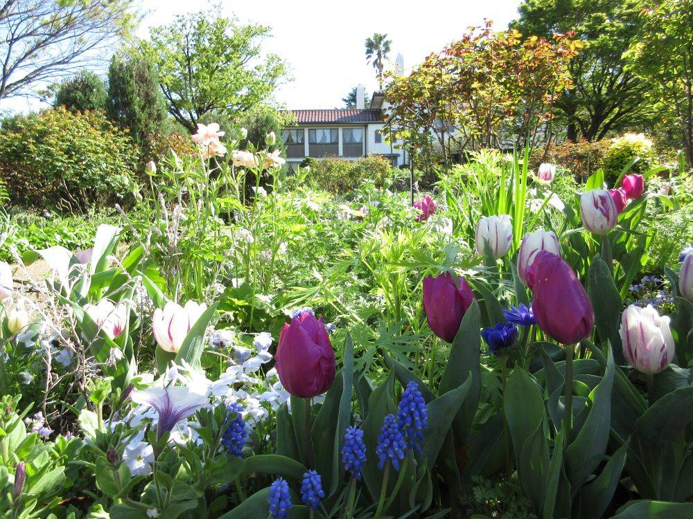 横浜市イギリス館　港の見える丘公園の花々とイギリス館の写真