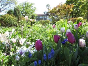 横浜市イギリス館　港の見える丘公園の花々とイギリス館