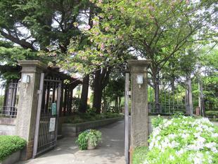 ベーリック・ホール　春の庭園の様子　④