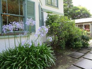 ブラフ18番館　夏の庭日記（2026年７月11日）