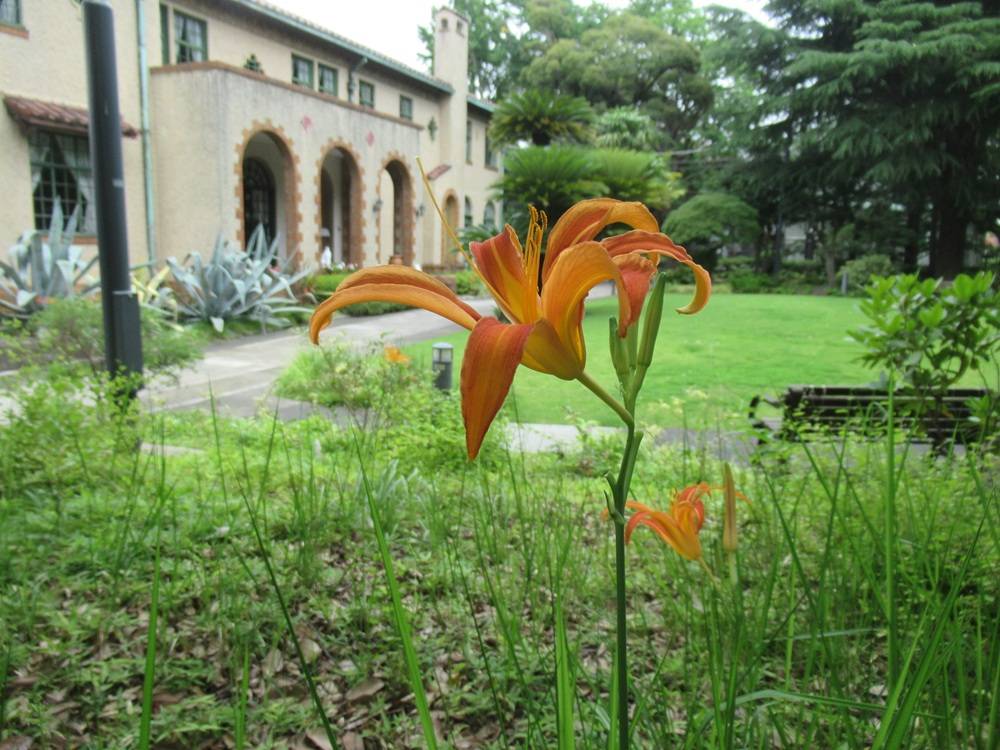 ベーリック・ホール　庭園の様子の写真