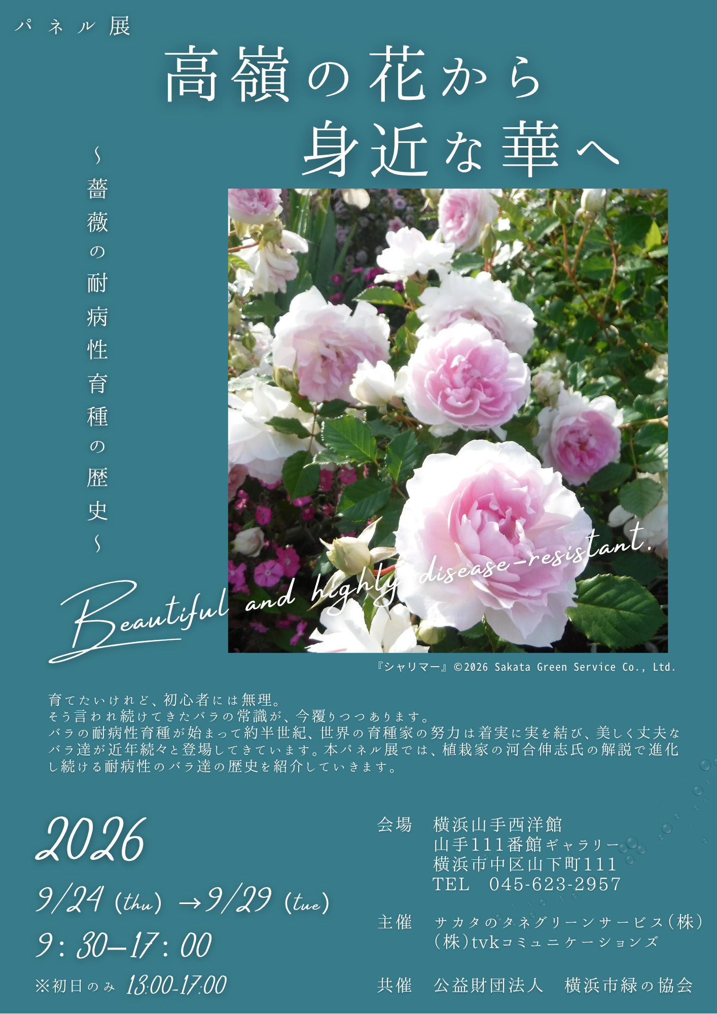 パネル展示「高嶺の花から身近な華へ～薔薇の耐病性育種の歴史～」の写真
