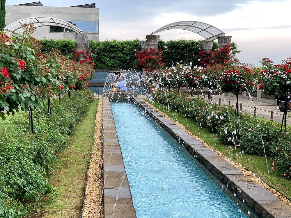 ④整形花壇噴水ルビーフラワーカーニバル (2).JPG