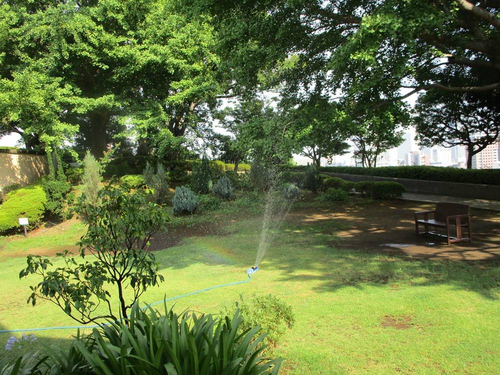 0808夏の涼（庭園）.JPG