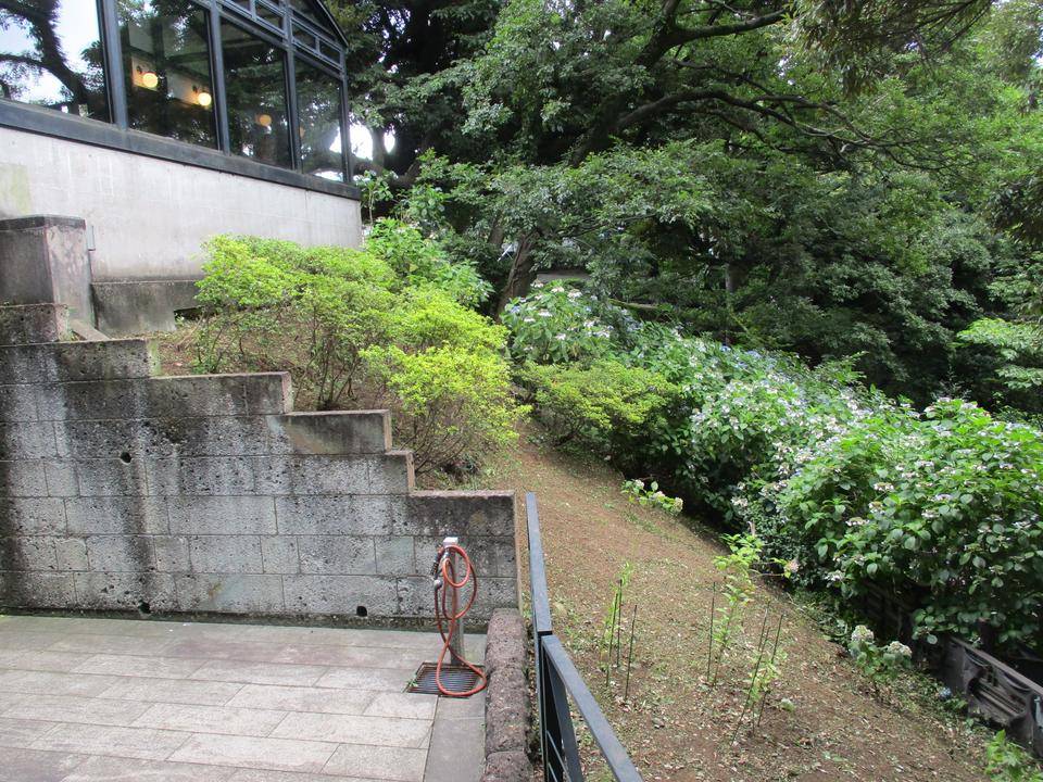 ②0707エリス　法面清掃後 (2).JPG