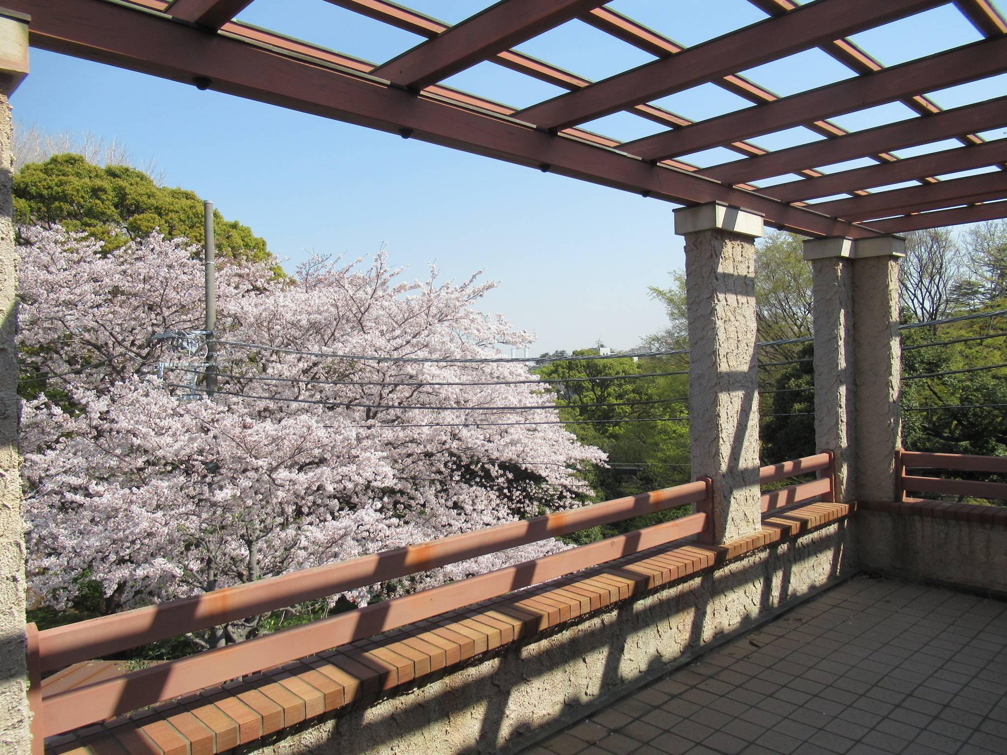 1327 【ベーリック】 ２階パーゴラ.JPG