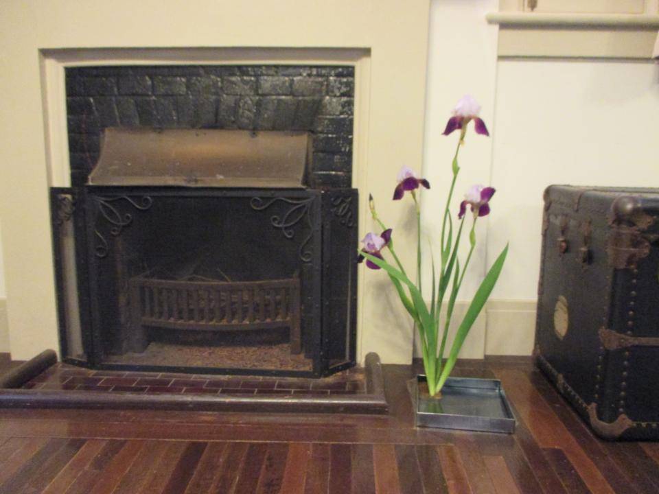 0517　234番館　暖炉前のジャーマンアイリス.JPG