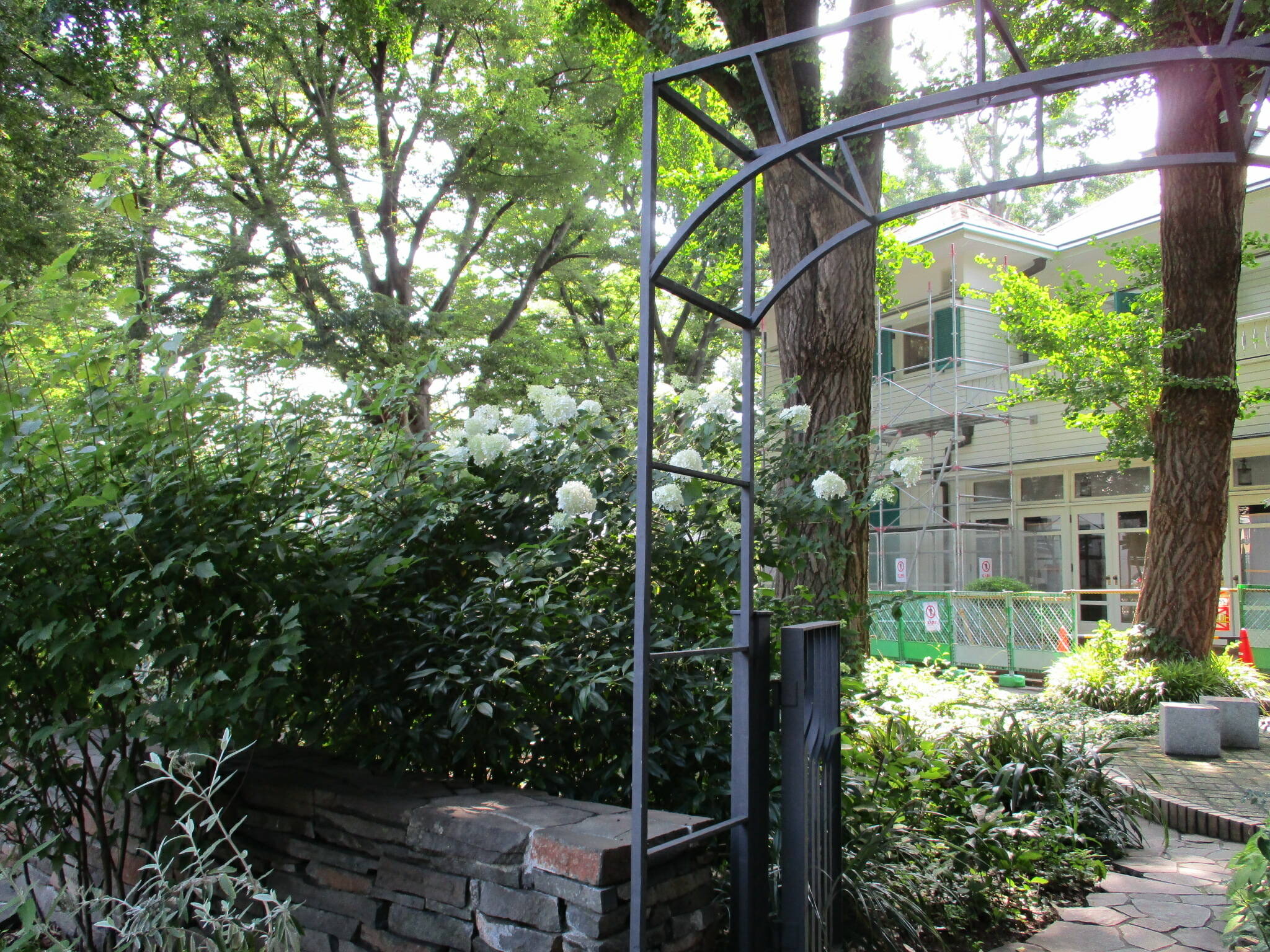 0717前庭とエリスマン邸 (2).JPG