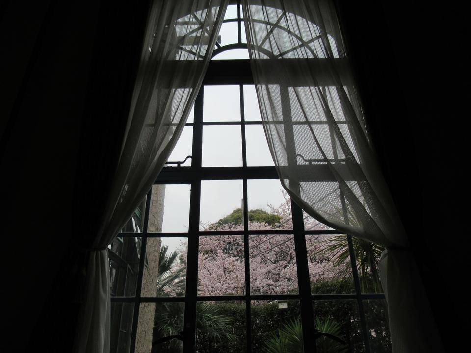 0329 リビングウランス窓.JPG