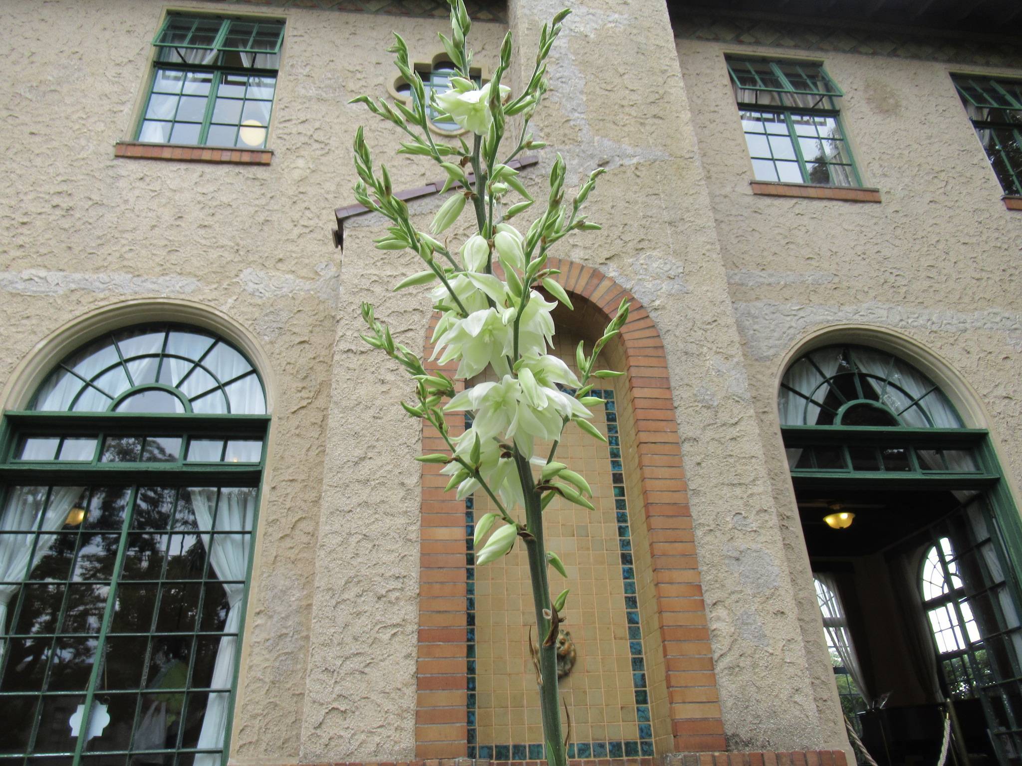 0522【ベーリック】 (10).JPG