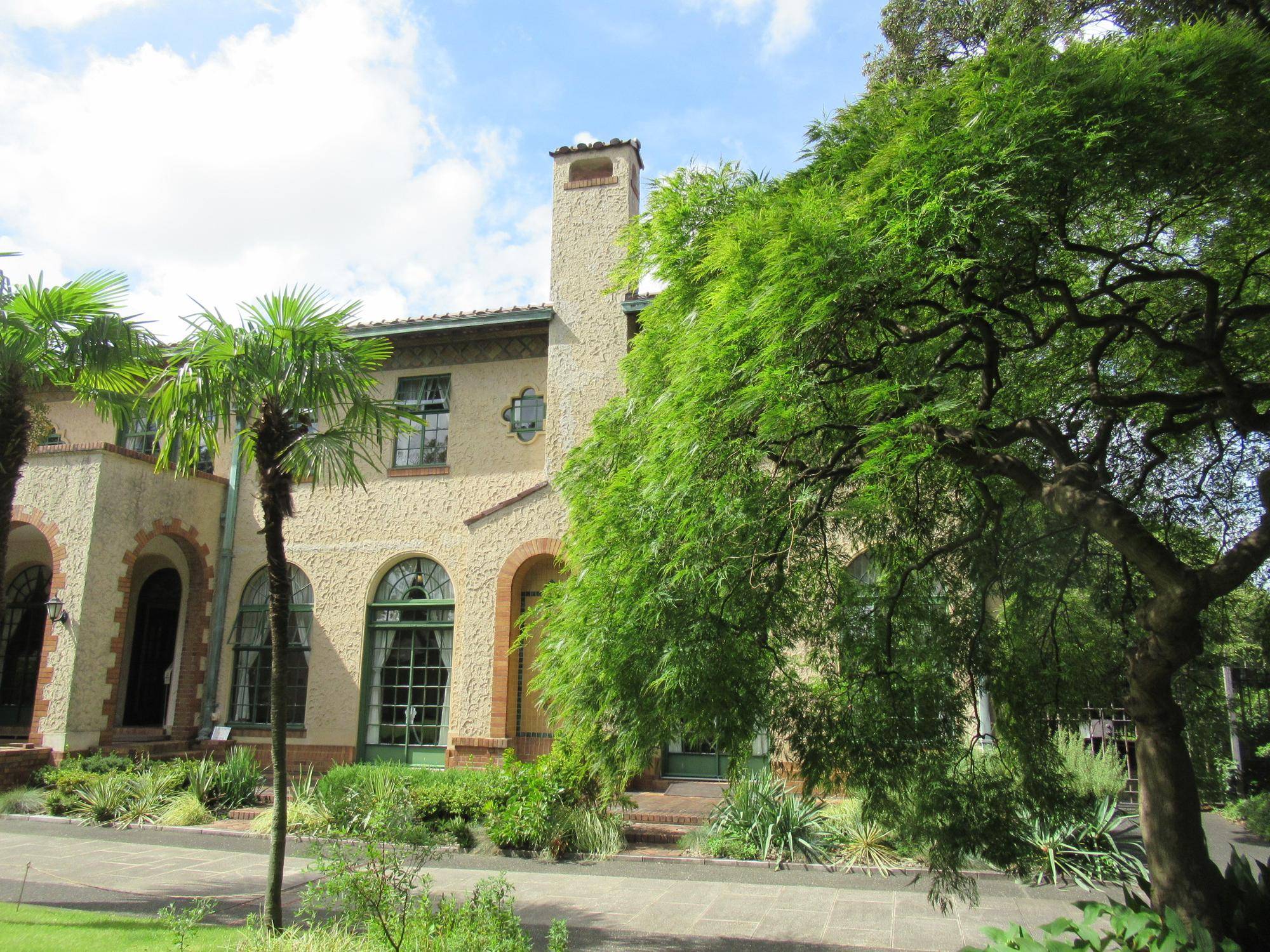 【ベーリック・ホール】0907 アオモミジ (1).JPG