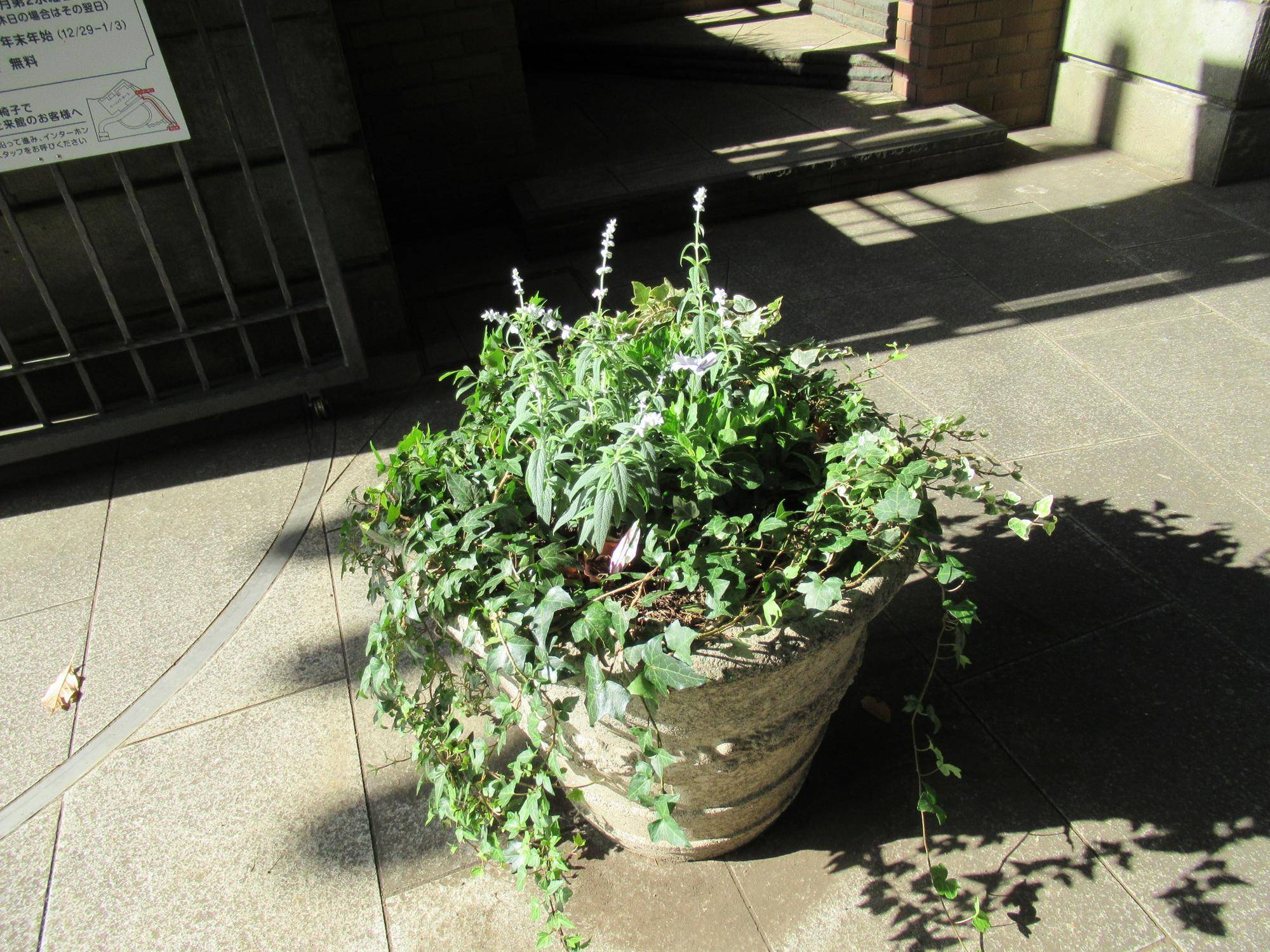 1122 プランター正門.JPG