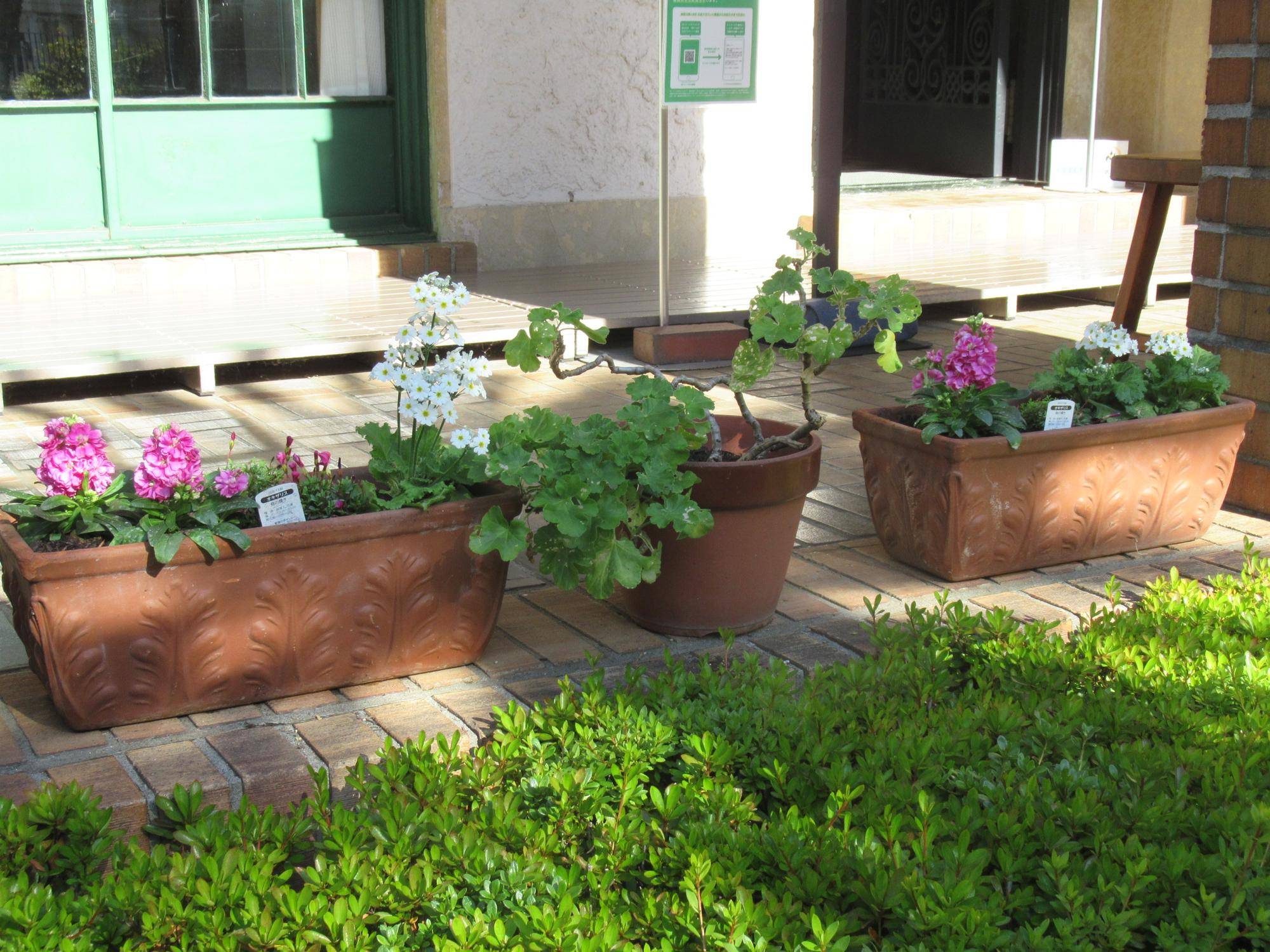 1122 三連アーチプランター.JPG