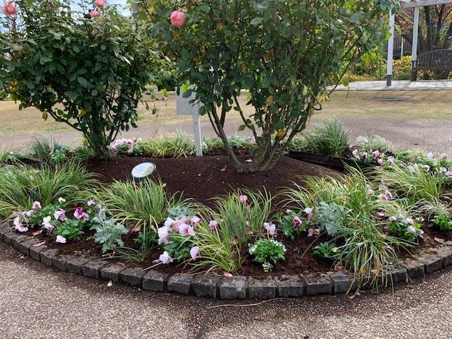 ⑥はまみらいの下も (1).jpg