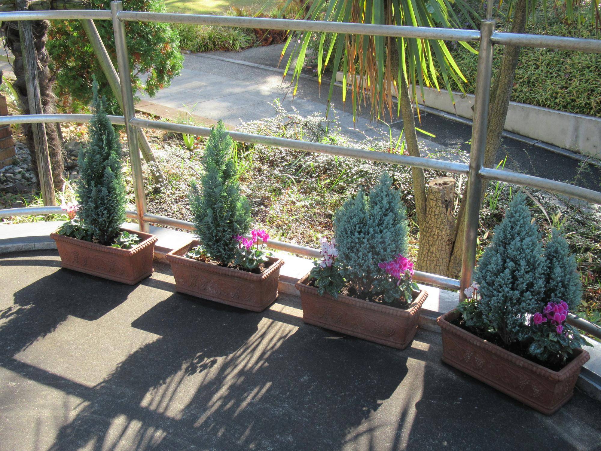 1122 スロープ.JPG