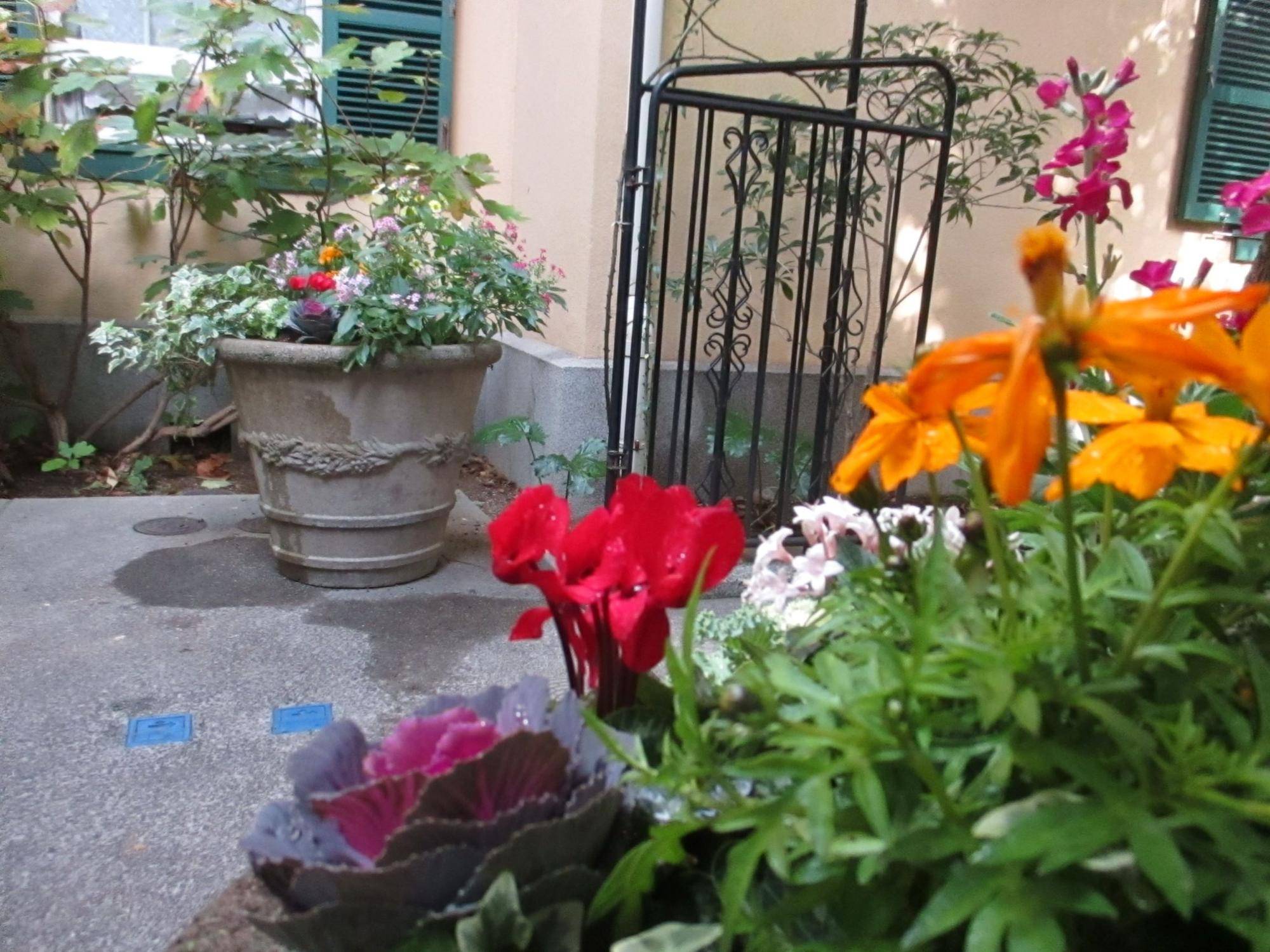 1109 234番館冬のプランター③.JPG