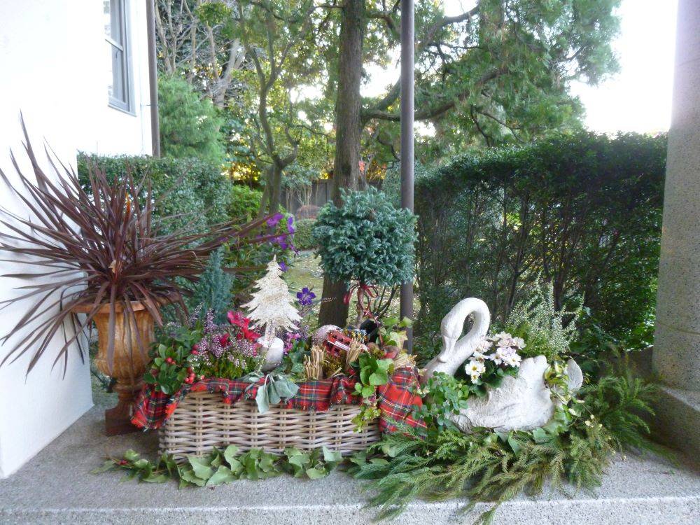 1215冬の寄せ植え（イギリス館）.JPG