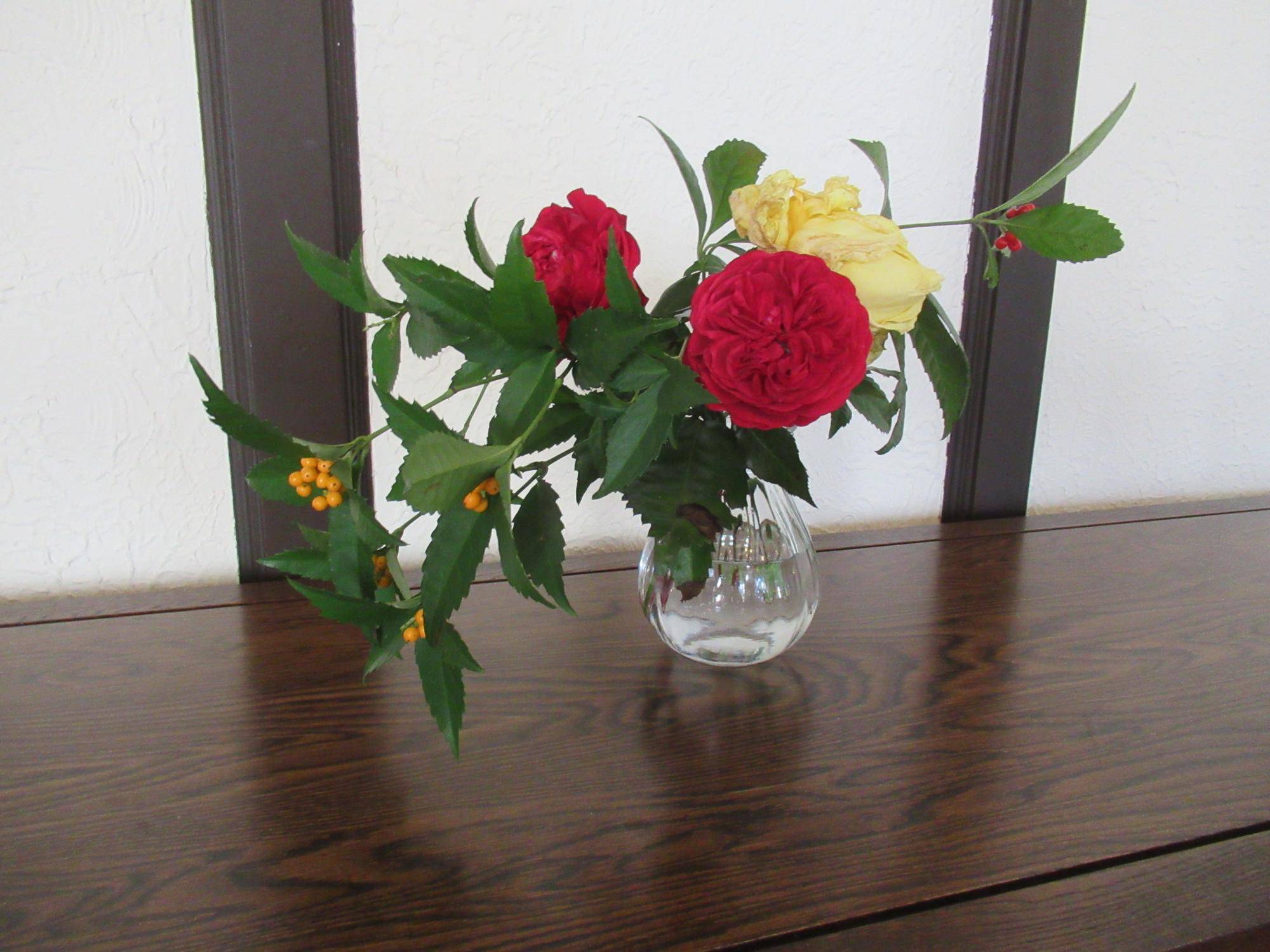 1231千両 とベーリック・ホールのバラ (1).JPG