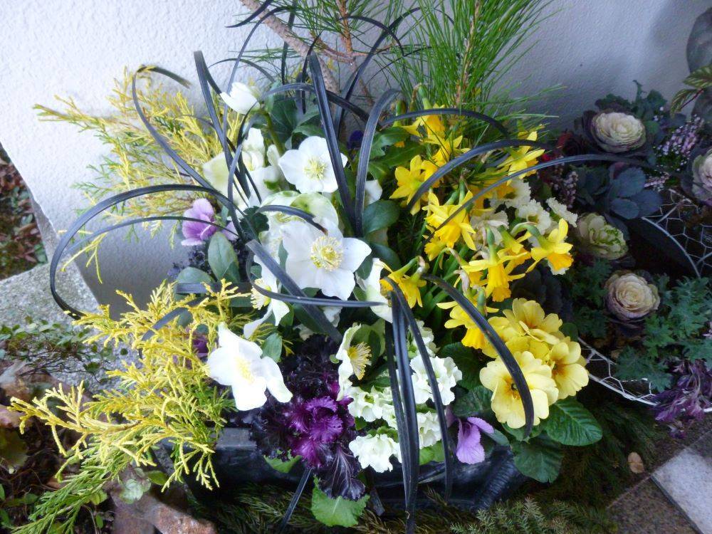 1215冬の寄せ植え【イギリス館】③.JPG