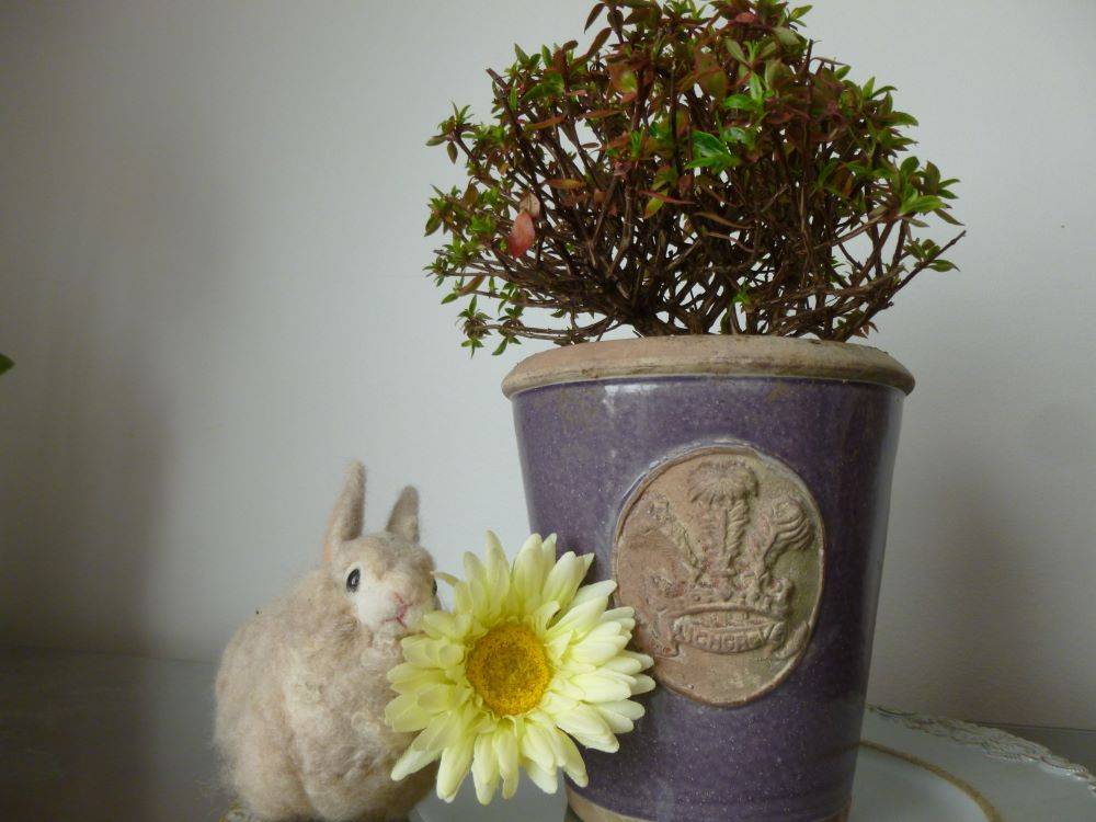 0106-イギリス館01(2F寝室チェスト) (1).JPG