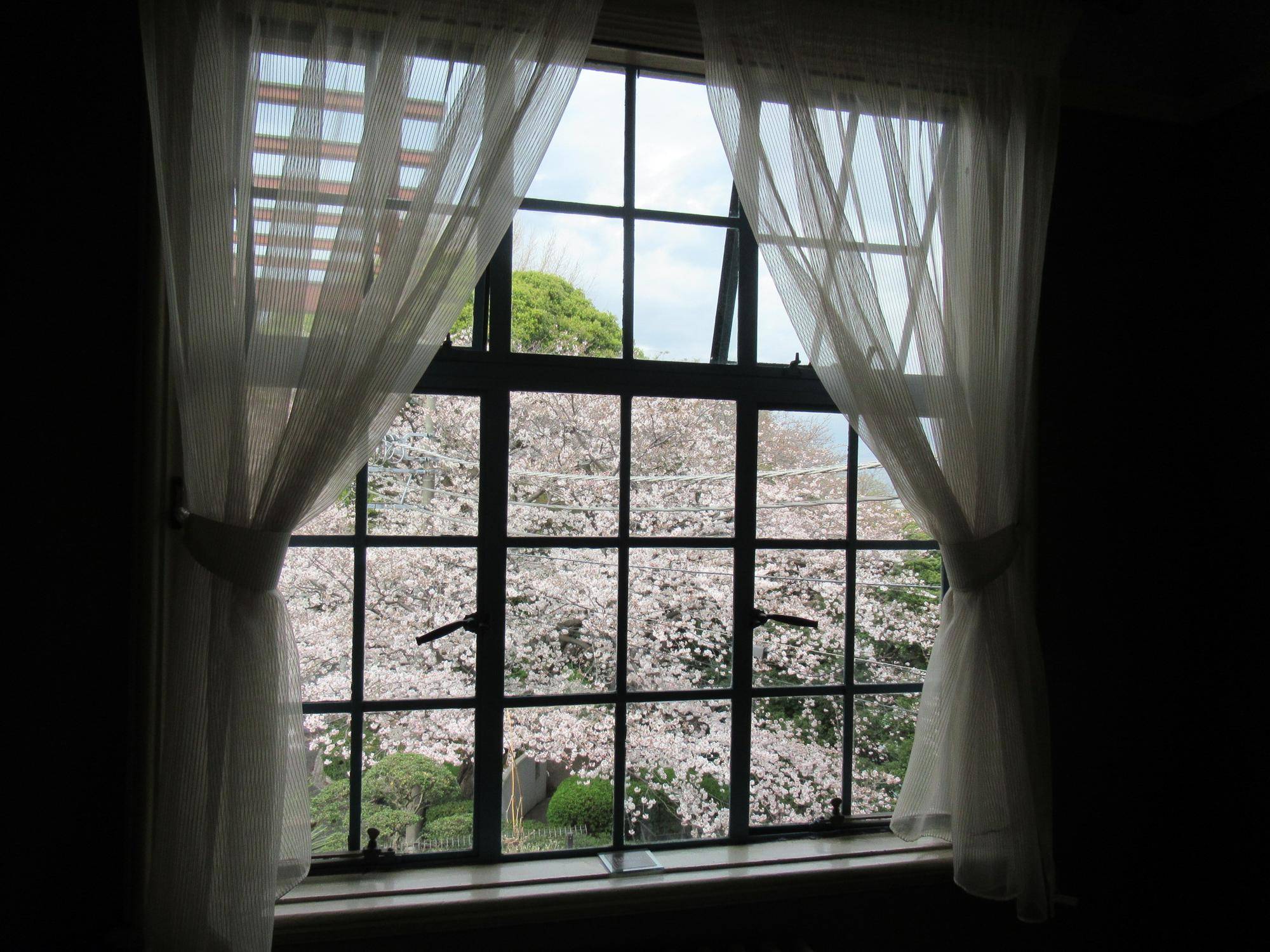 0323【ベーリック】サンポーチサクラ (1).JPG