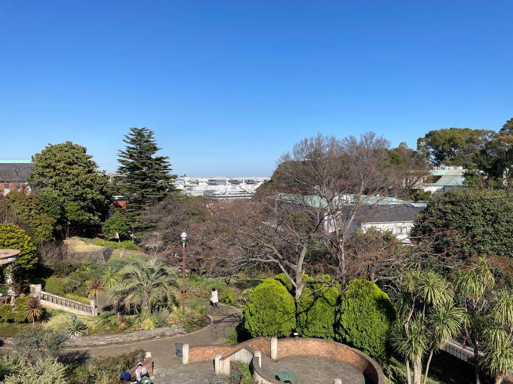 111番館からの丘公園桜0319 (2).JPG