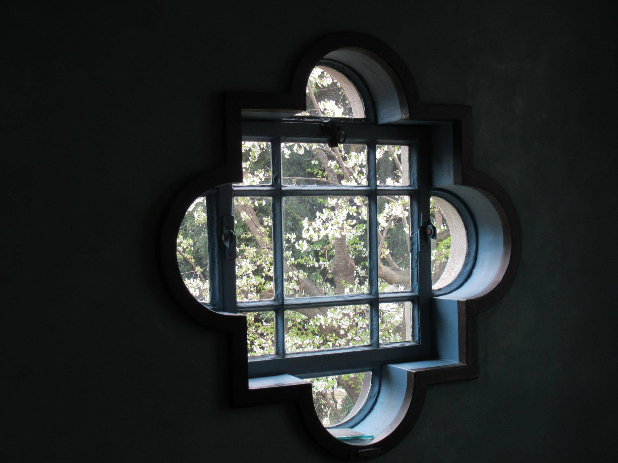 0323【ベーリック】オオシマザクラ (1).JPG