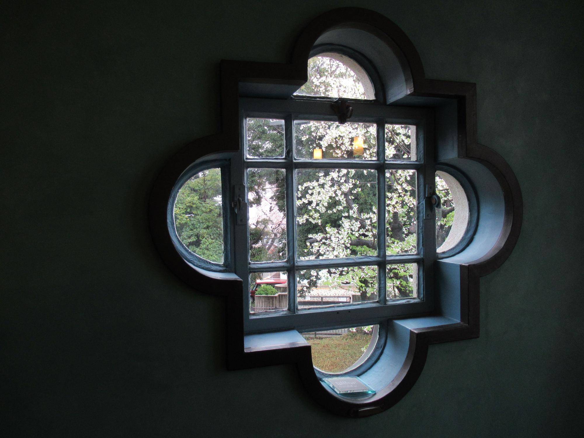 0325【ベーリック】オオシマザクラ (1).JPG