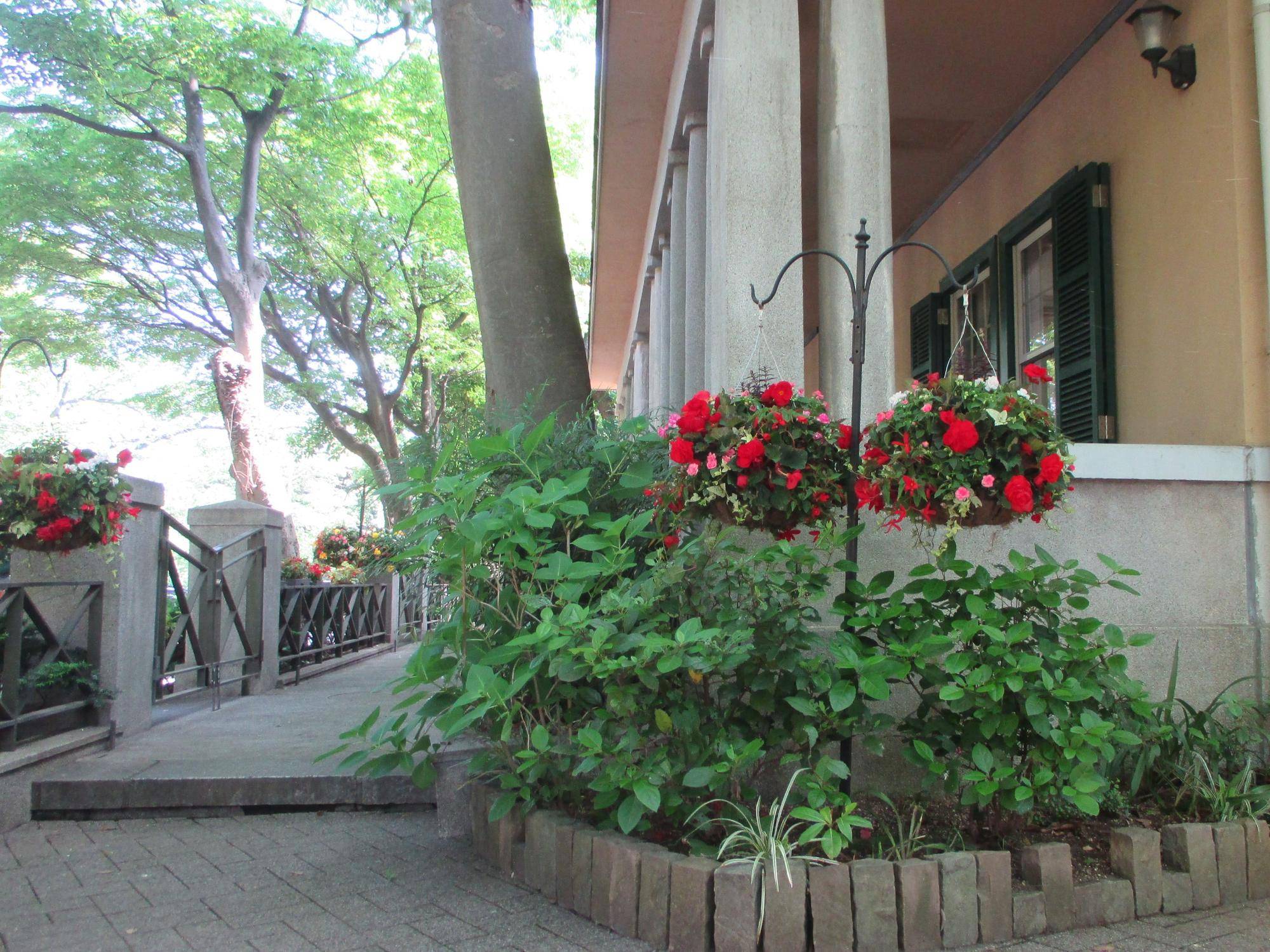 0428 234 ④花に映える側面.jpg