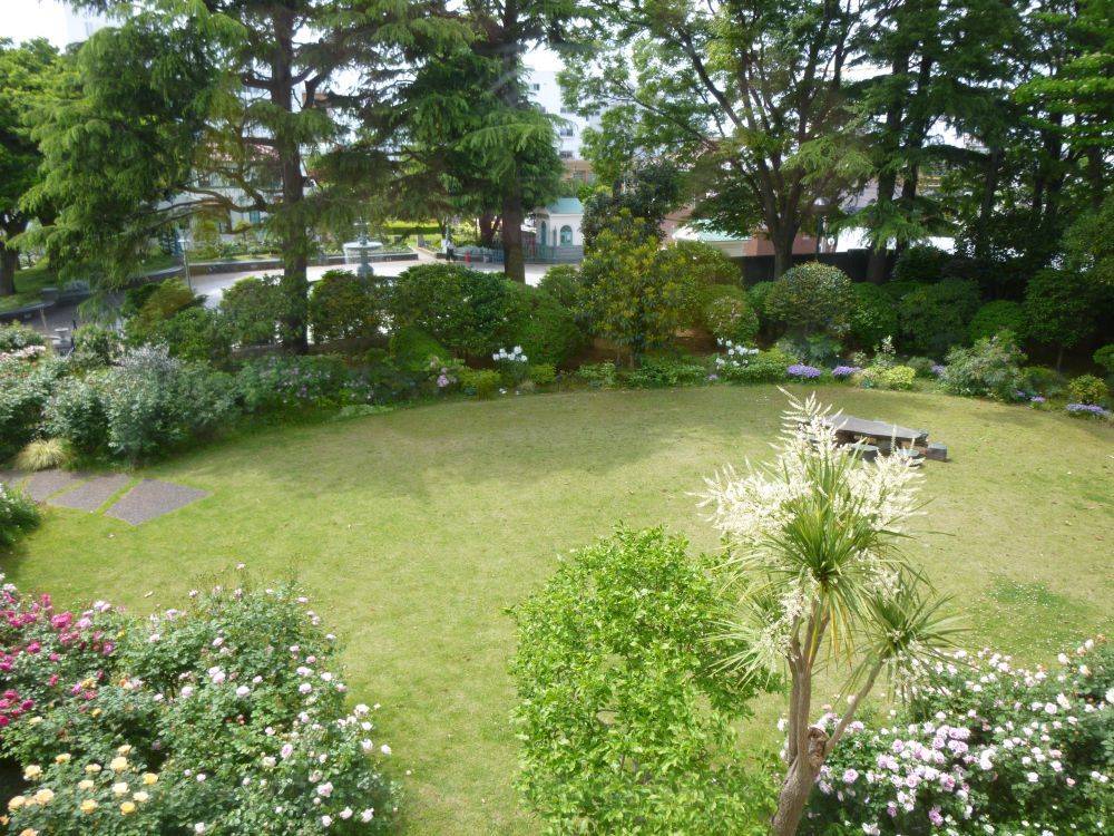 0429 中庭のドラセナ(イギリス館)2.JPG