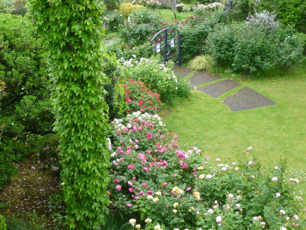 0429バラと中庭（イギリス館）②.JPG