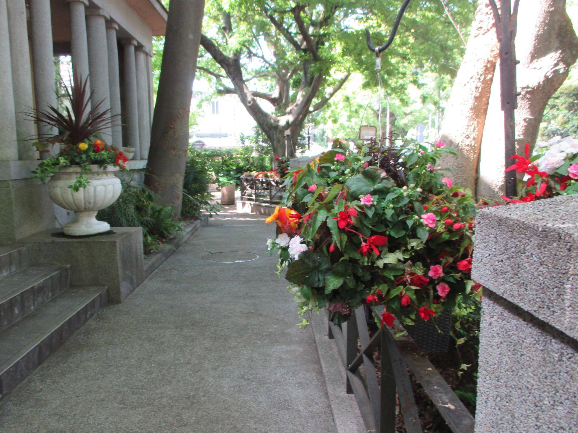 0428 234 ③花に映える正面.jpg