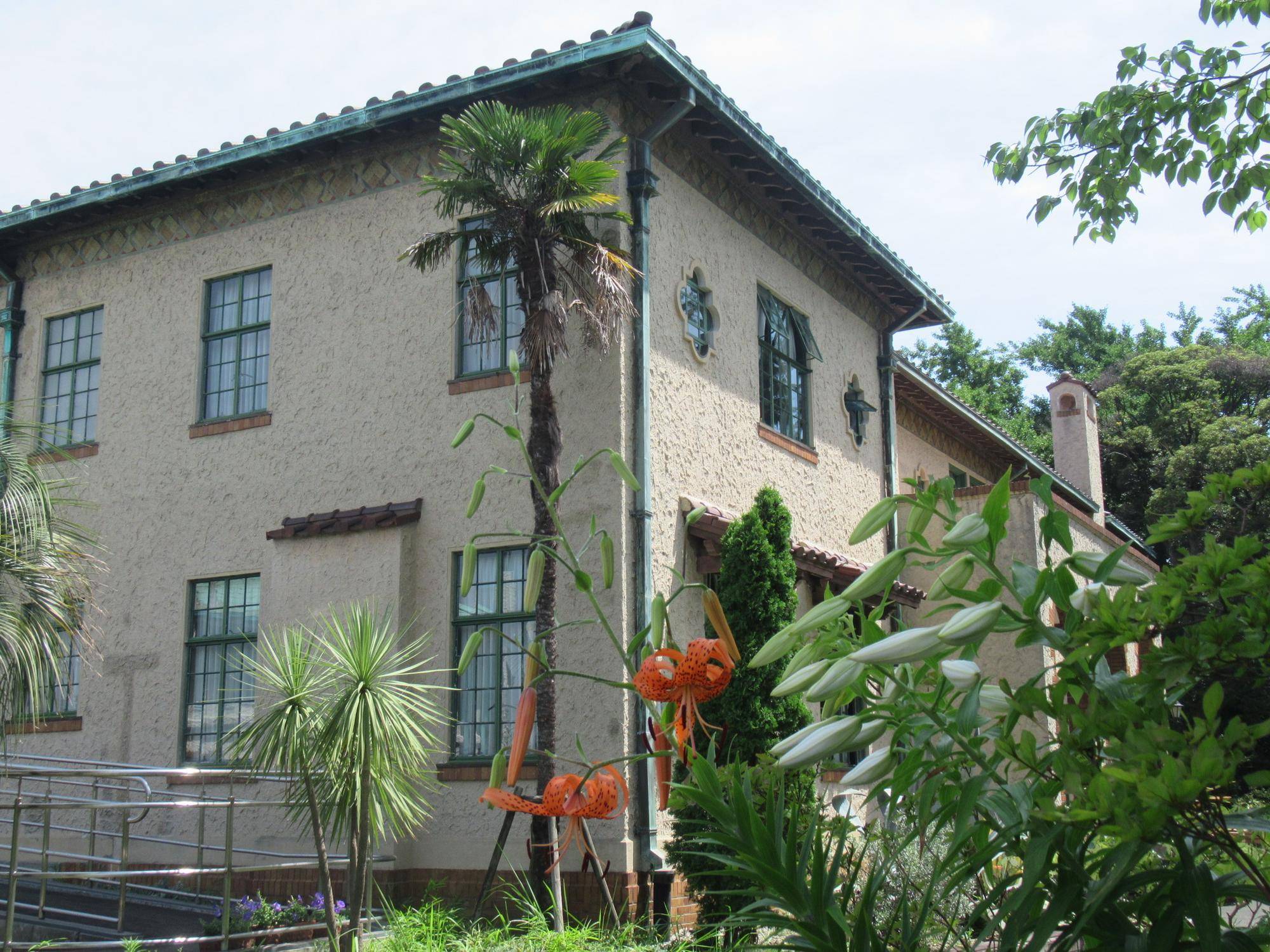 0707 ヤマユリ.JPG